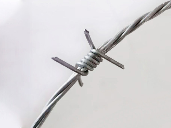 galvanised barbed wire