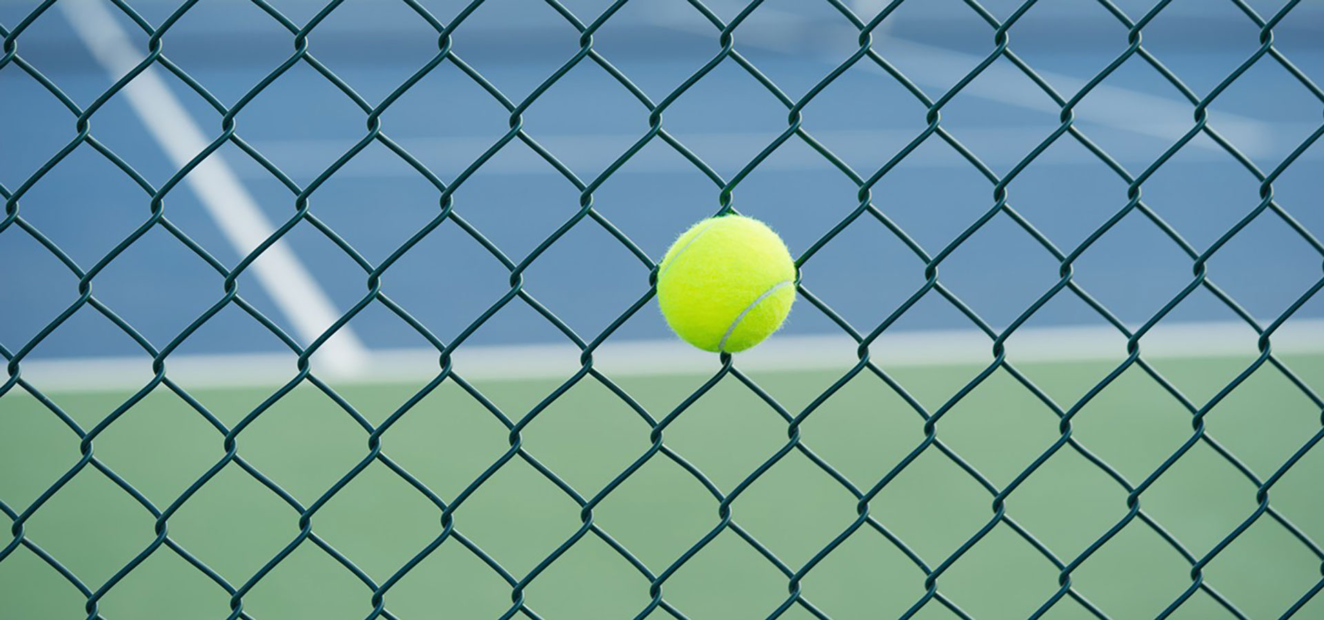 chainlink fence