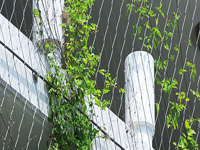 Green Wall Net For Plants_Wire Mesh Fence, Wind Break Fence, Military  Defensive Barrier, Razor Wire, Rockfall Barriers