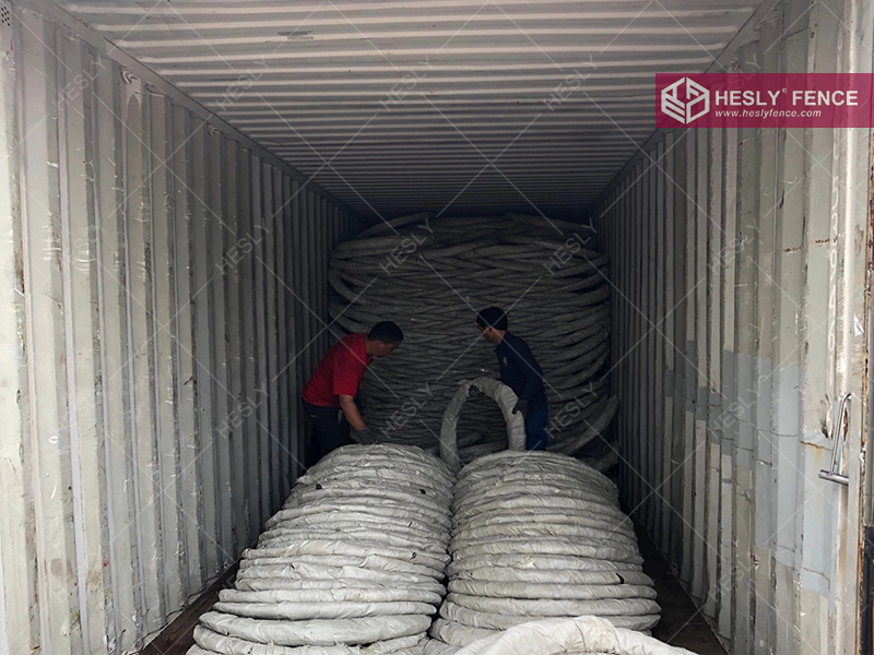 China Razor Wire Coil HeslyFence