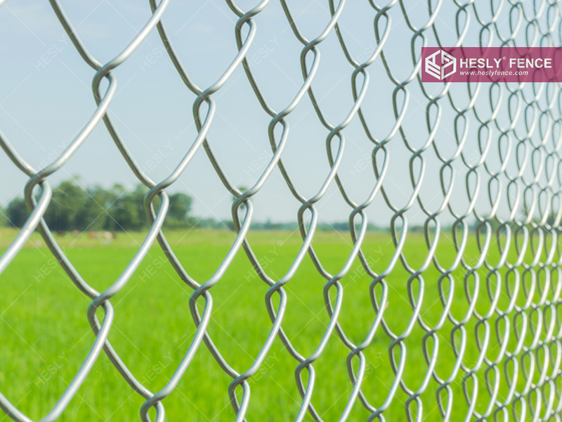 galvanised chain link fence