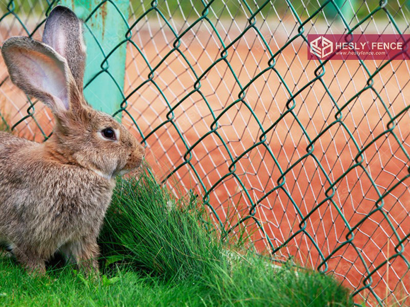 chain link mesh fencing