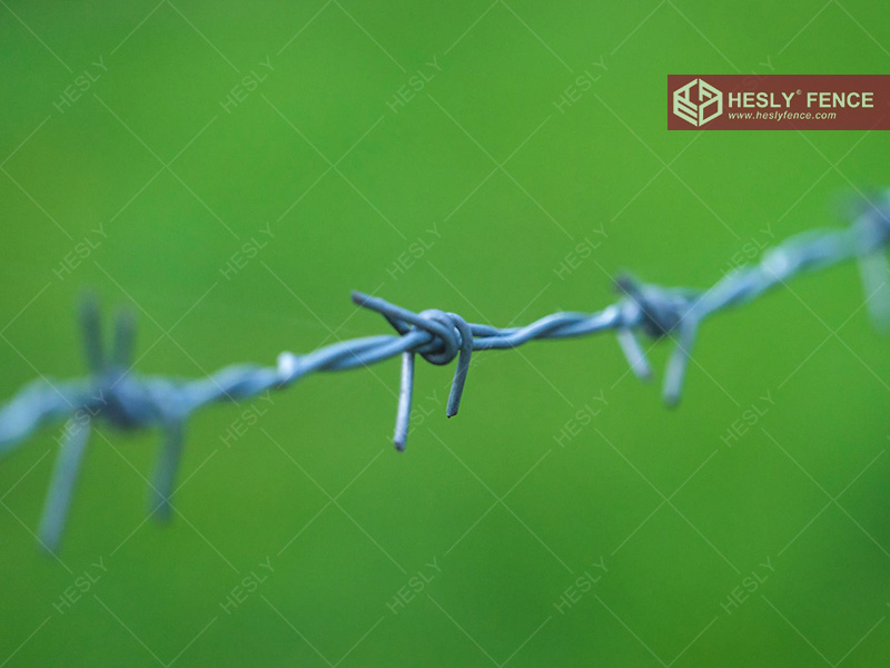 galvanized barbed wire 