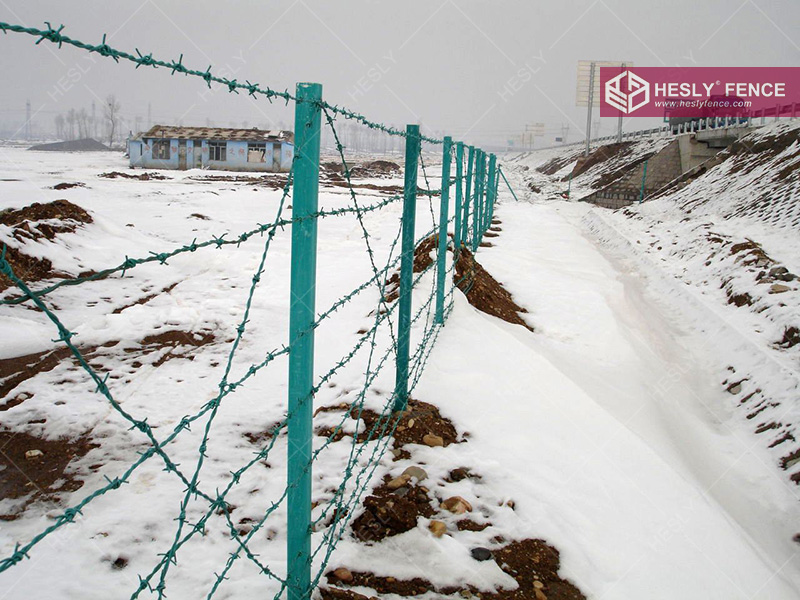 PVC Coated Barbed Wire