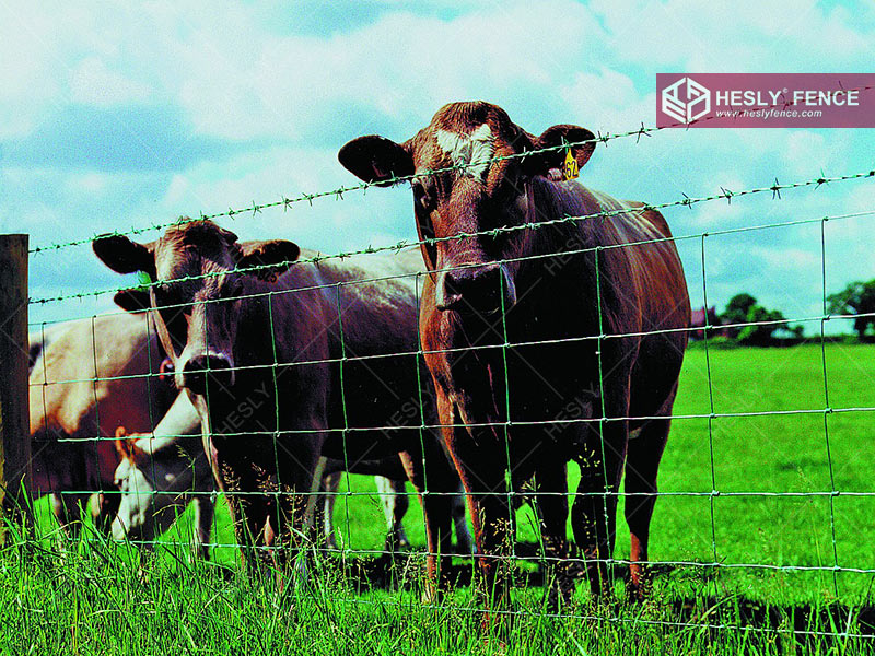 Field Mesh Fence China