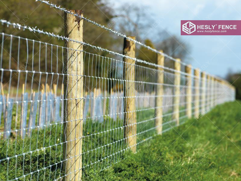 Grassland Fencing Hesly Factory Sales