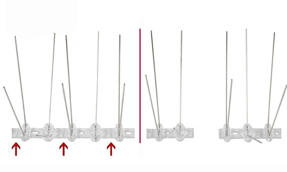anti bird spikes