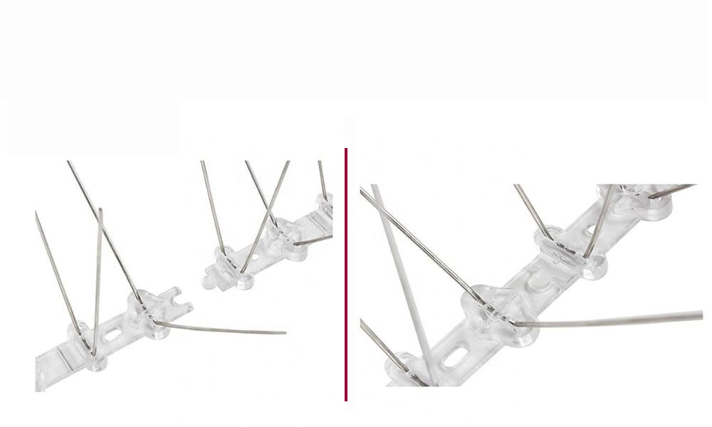 bird spikes