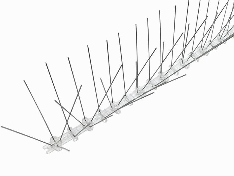 China Bird Spikes