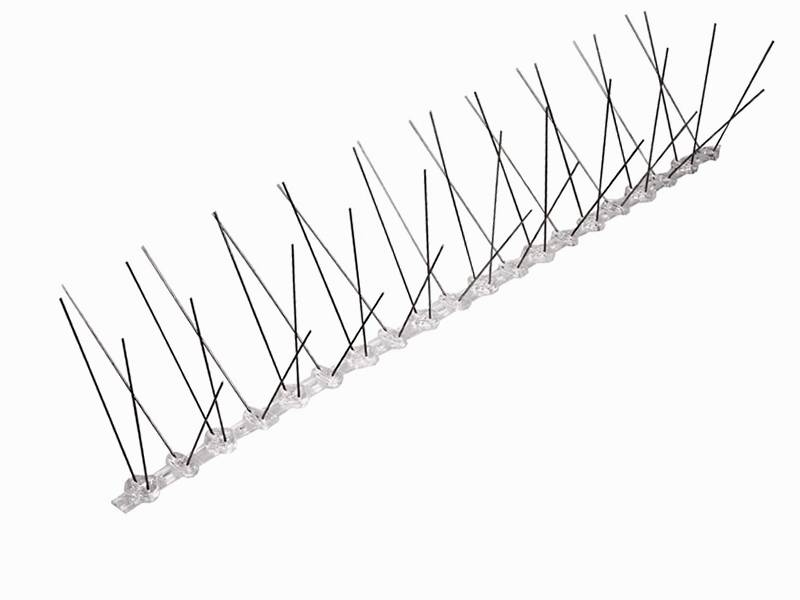 Anti Bird Spikes Factory Supplier