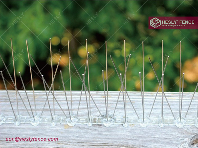 Pigeon Spikes China Supplier