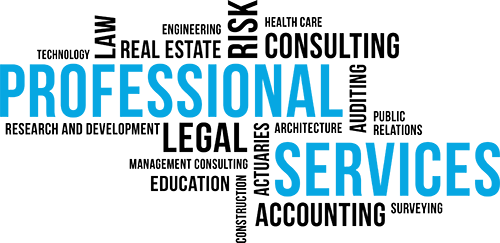 Professional Service