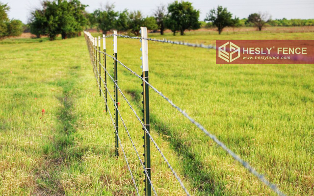 Farm Barbed Wire Fencing