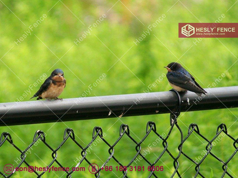 Chain link fence Chain link fence