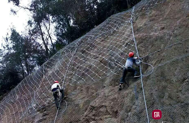 slope protection mesh system